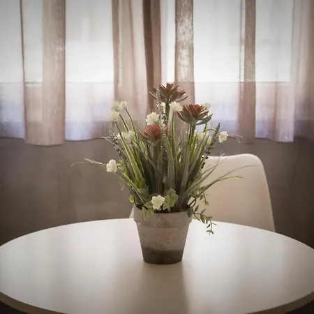 Oda ve Kahvaltı Casa Salinas Napoli